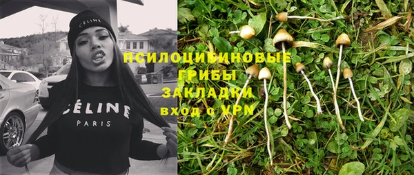 стафф Арсеньев