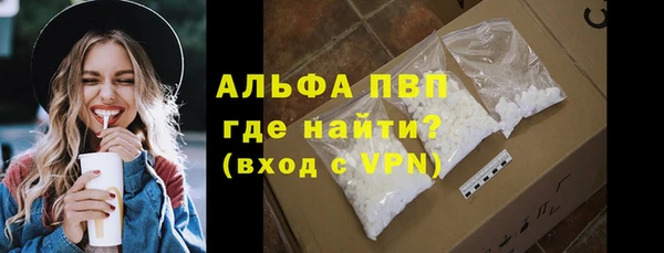 стафф Арсеньев