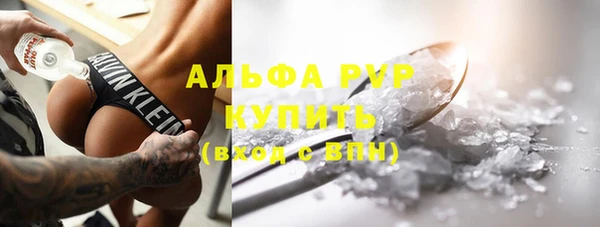 стафф Арсеньев