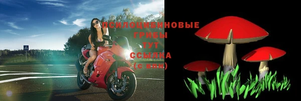 стафф Арсеньев