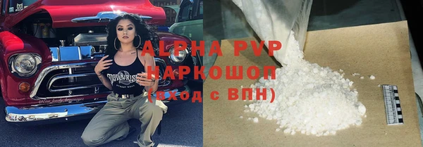 стафф Арсеньев